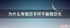 为什么有极巨手环不能极巨化