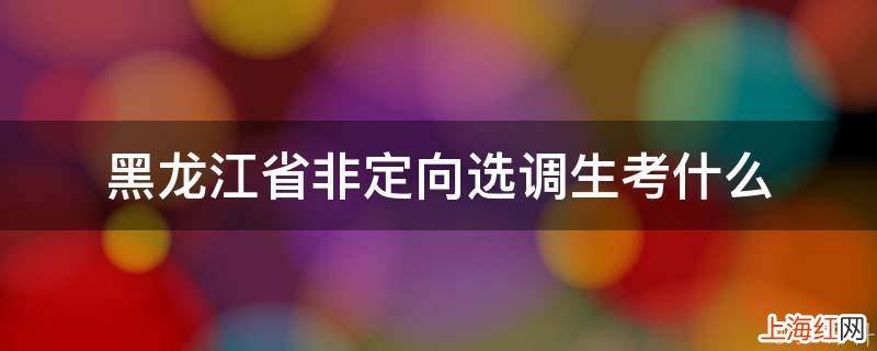 黑龙江省非定向选调生考什么