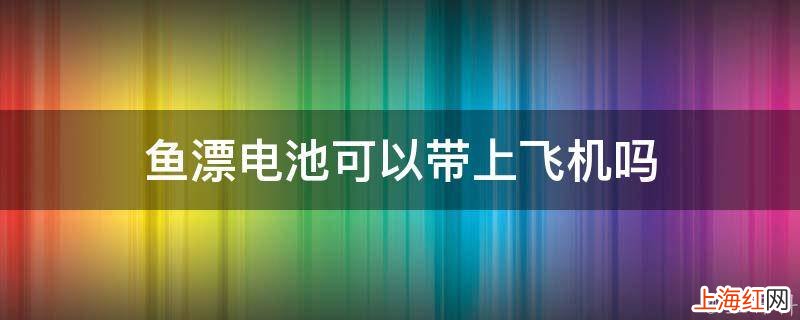 鱼漂电池可以带上飞机吗