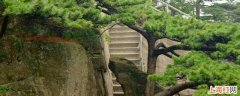 黄山雨夹雪开放吗