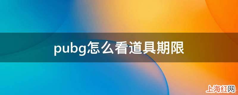 pubg怎么看道具期限