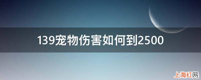 139宠物伤害如何到2500