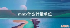 mmx什么计量单位