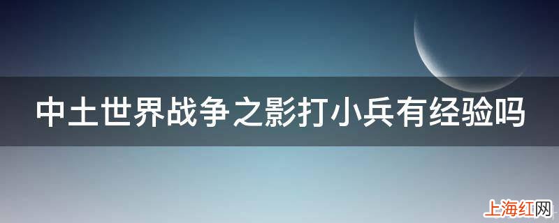 中土世界战争之影打小兵有经验吗