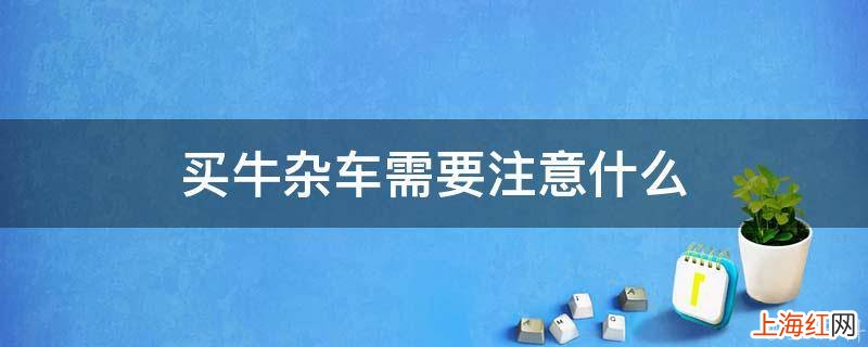 买牛杂车需要注意什么