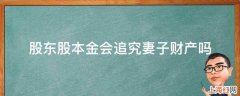 股东股本金会追究妻子财产吗