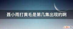 聂小雨打黄毛是第几集出现的啊