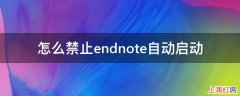 怎么禁止endnote自动启动