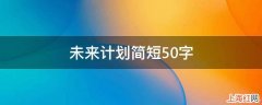 未来计划简短50字