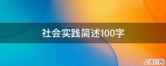 社会实践简述100字