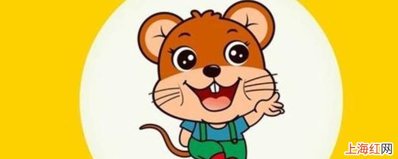 鼠与唐老鸭打一生肖