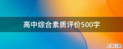 高中综合素质评价500字