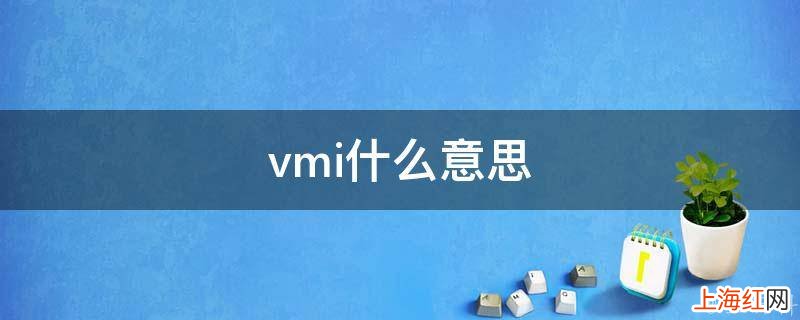 vmi什么意思