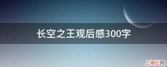 长空之王观后感300字