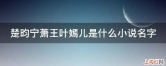 楚昀宁萧王叶嫣儿是什么小说名字