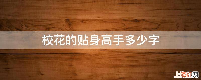 校花的贴身高手多少字