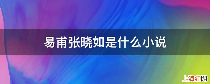 易甫张晓如是什么小说