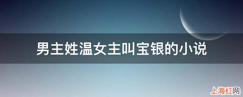 男主姓温女主叫宝银的小说