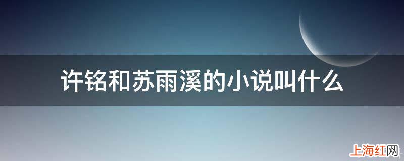 许铭和苏雨溪的小说叫什么