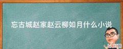 忘古城赵家赵云柳如月什么小说