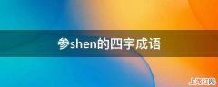 参shen的四字成语