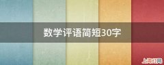 数学评语简短30字