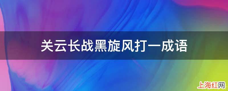 关云长战黑旋风打一成语