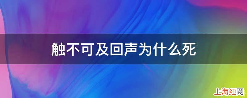 触不可及回声为什么死