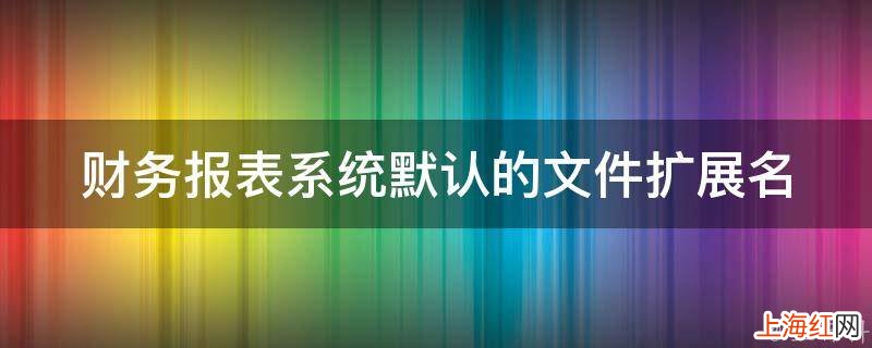 财务报表系统默认的文件扩展名