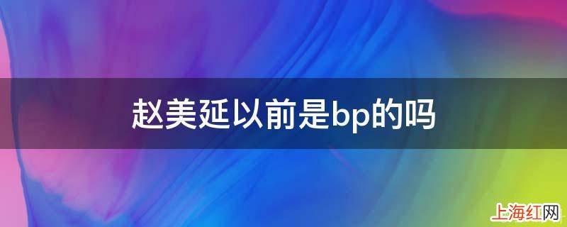 赵美延以前是bp的吗