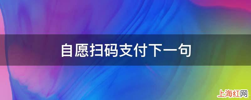 自愿扫码支付下一句