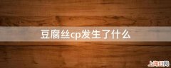 豆腐丝cp发生了什么