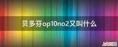 贝多芬op10no2又叫什么