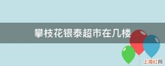 攀枝花银泰超市在几楼