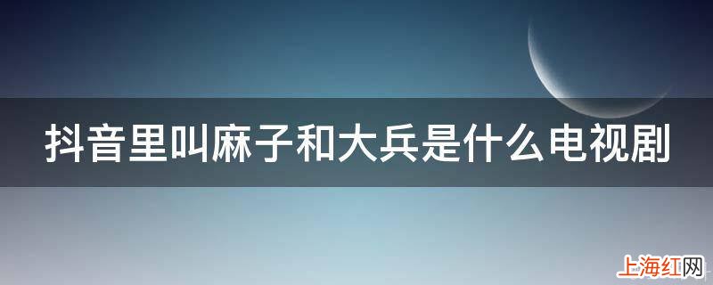 抖音里叫麻子和大兵是什么电视剧