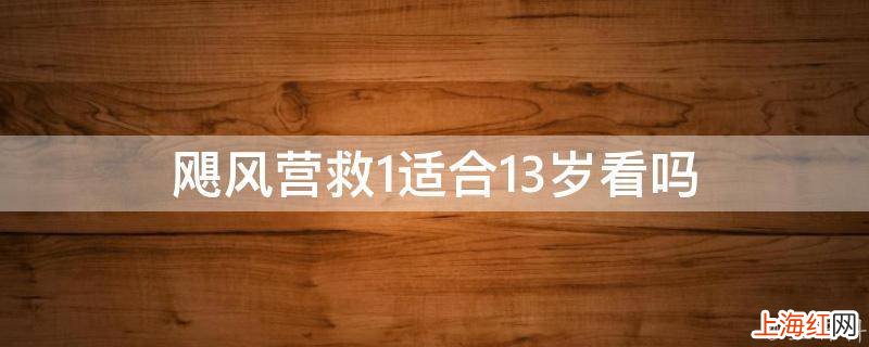 飓风营救1适合13岁看吗