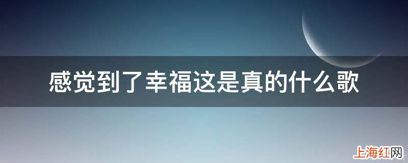 感觉到了幸福这是真的什么歌