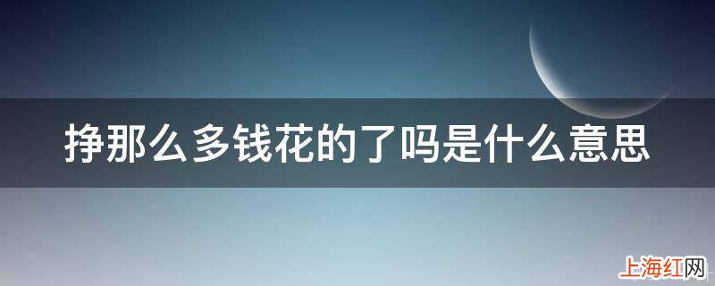 挣那么多钱花的了吗是什么意思