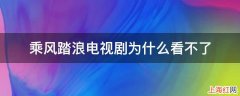 乘风踏浪电视剧为什么看不了