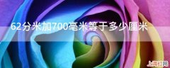 62分米加700亳米等于多少厘米