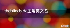 theblindside主角英文名