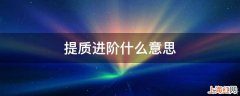 提质进阶什么意思