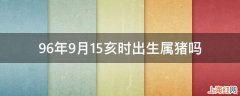 96年9月15亥时出生属猪吗