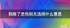 我除了悲伤别无选择什么意思