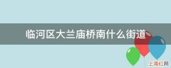 临河区大兰庙桥南什么街道