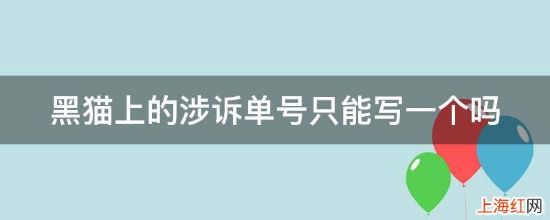 黑猫上的涉诉单号只能写一个吗