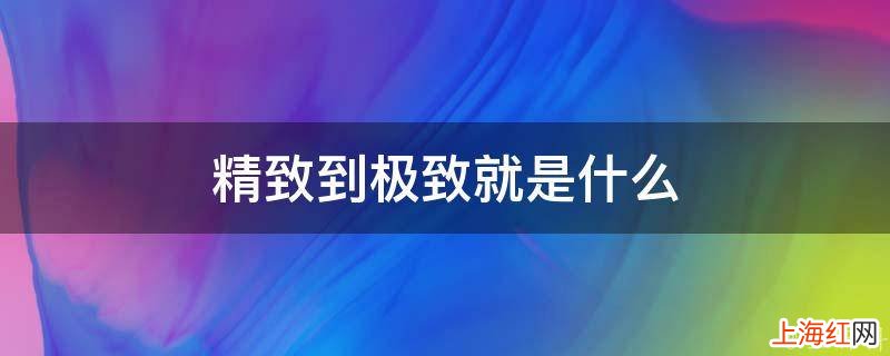 精致到极致就是什么