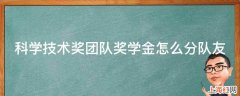 科学技术奖团队奖学金怎么分队友