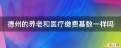 德州的养老和医疗缴费基数一样吗