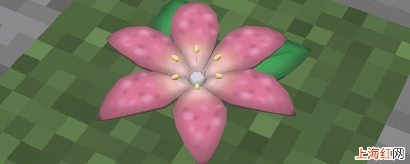 感恩之花是葛拉西蒂亚之花吗